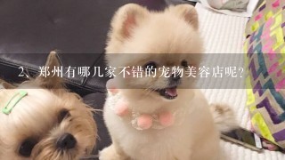 郑州有哪几家不错的宠物美容店呢？