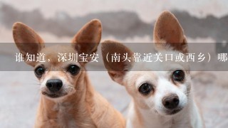 谁知道，深圳宝安（南头靠近关口或西乡）哪里有宠物店，可以给狗狗洗澡的，价钱比较合理的！