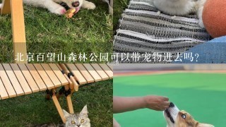 北京百望山森林公园可以带宠物进去吗？