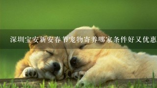 深圳宝安新安春节宠物寄养哪家条件好又优惠