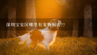 深圳宝安区哪里有宠物狗卖?？