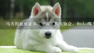 马犬的血统证书，中国工作犬协会，和cku哪个是真的