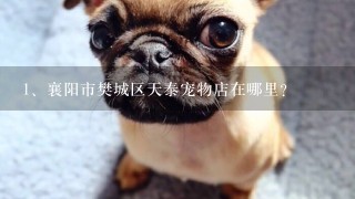 襄阳市樊城区天泰宠物店在哪里？