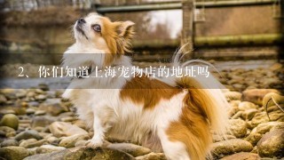 你们知道上海宠物店的地址吗
