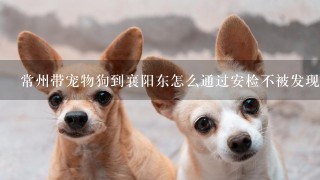 常州带宠物狗到襄阳东怎么通过安检不被发现