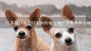 江苏海门有专门卖狗的地方吗？不要那种市场里卖的，