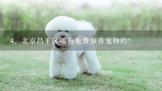 北京昌平区哪有免费领养宠物的？