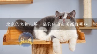 北京的宠物市场，猫狗鱼虫市场都有哪些，除了通州狗市和官元市场之外