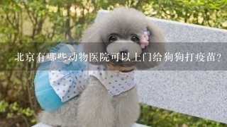 北京有哪些动物医院可以上门给狗狗打疫苗？