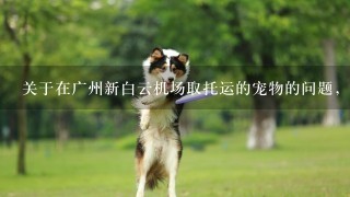 关于在广州新白云机场取托运的宠物的问题，能否告知取狗的流程，狗是乘坐国航的航班去的