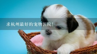 求杭州最好的宠物医院！