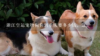 浙江空运宠物狗狗到重庆要多少钱。急。