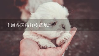 上海各区猫打疫苗地址