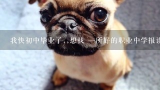 我快初中毕业了,,想找 一所好的职业中学报读宠物医疗与护理这一反面的专业,,但不了解广州市高级技工学校