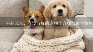 坐标北京，有没有好的宠物美容师培训学校啊？