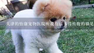 天津的怡康宠物医院听说有很多得传腹的猫是真的么?