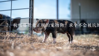 杭州哪里卖正规的宠物狗？求个不会被坑的渠道。