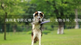深圳龙华附近哪里有宠物店、宠物市场、宠物医院