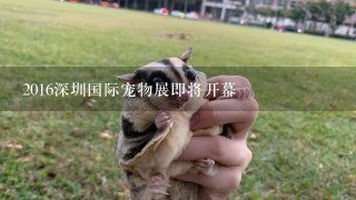 2016深圳国际宠物展即将开幕