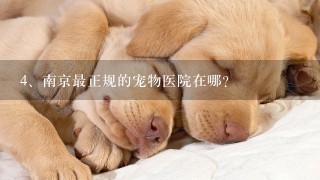 南京最正规的宠物医院在哪？