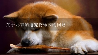 关于北京酷迪宠物乐园的问题