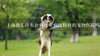 上海徐汇区有给猫咪看病比较好的宠物医院吗？