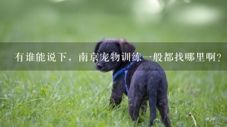 有谁能说下，南京宠物训练一般都找哪里啊？