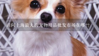请问上海最大的宠物用品批发市场在哪??