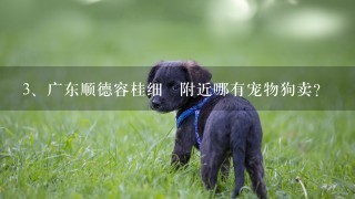 广东顺德容桂细滘附近哪有宠物狗卖？