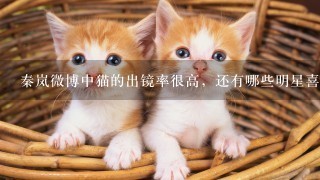 秦岚微博中猫的出镜率很高，还有哪些明星喜欢晒宠物