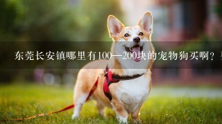 东莞长安镇哪里有100—200块的宠物狗买啊？要健康的，