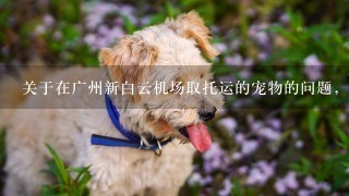 关于在广州新白云机场取托运的宠物的问题，能否告知取狗的流程，狗是乘坐国航的航班去的？