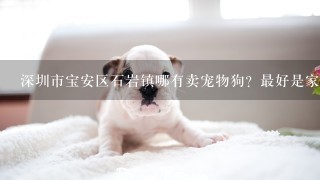 深圳市宝安区石岩镇哪有卖宠物狗？最好是家养的！