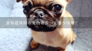 谁知道深圳市宠物寄养一天多少钱啊?