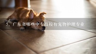 广东省哪些中专技校有宠物护理专业