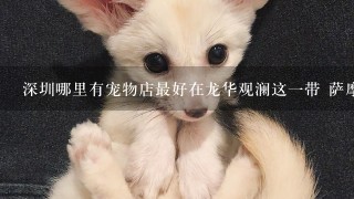 深圳哪里有宠物店最好在龙华观澜这一带 萨摩犬
