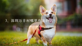 深圳万丰村哪里有宠物店？