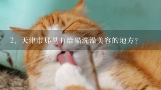 天津市那里有给猫洗澡美容的地方？