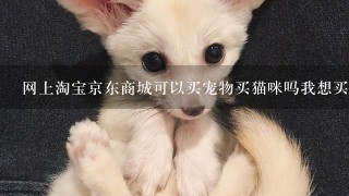 网上淘宝京东商城可以买宠物买猫咪吗我想买折耳猫