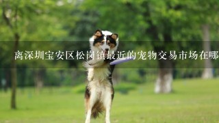 离深圳宝安区松岗镇最近的宠物交易市场在哪?