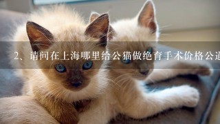 请问在上海哪里给公猫做绝育手术价格公道，有比较正