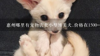 惠州哪里有宠物店卖小型博美犬.价格在1500-2000的?