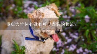 重庆大竹林有没有可以寄狗的物流？