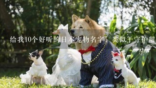 给我10个好听的日本宠物名字，类似于守护甜心中甜心的名字，要中文翻译和谐音!