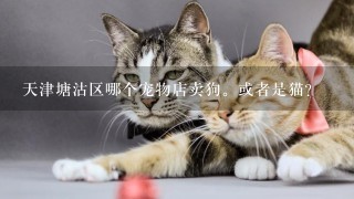 天津塘沽区哪个宠物店卖狗。或者是猫？