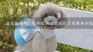 北京的宠物医院和给狗尿道结石手术要多少钱