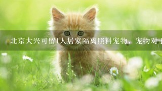 北京大兴可留1人居家隔离照料宠物，宠物对于人们的