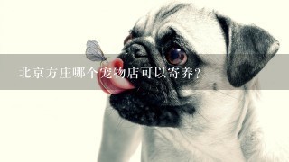 北京方庄哪个宠物店可以寄养？