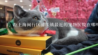 距上海闽行区浦江镇最近的宠物医院在哪呀？