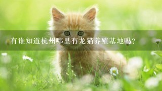 有谁知道杭州哪里有龙猫养殖基地吗？